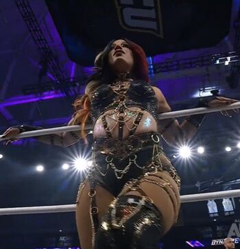 Sasha banks leaked private photo uncensored HD quality